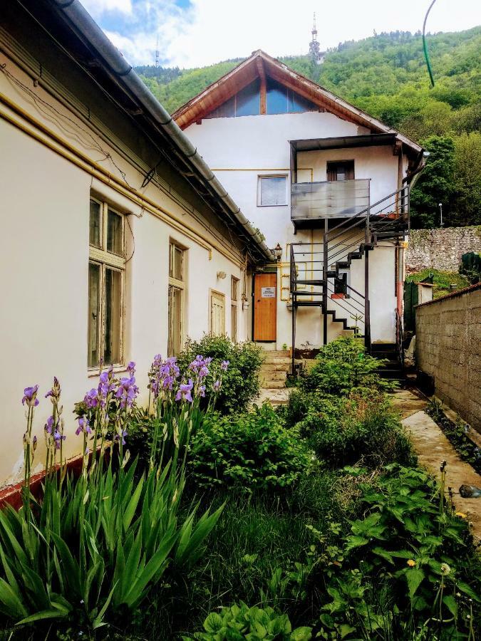 Downtown Hostel Brasov Exterior photo